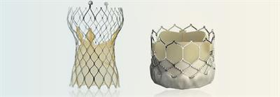 TAVR-Transcatheter-Aortic-Valve-Replacement TAVR Transcatheter Aortic Valve Replacement